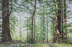 Celso Martinez Naves, Sternwald 10, 2020, OelLw, 40 x 60 cm